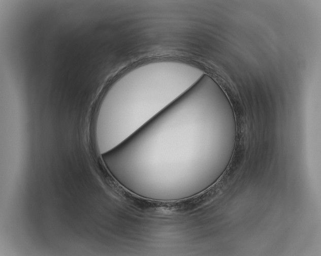 X0000113000496200908270922