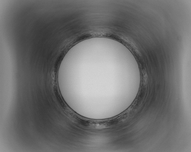 X0000113000498200908270922