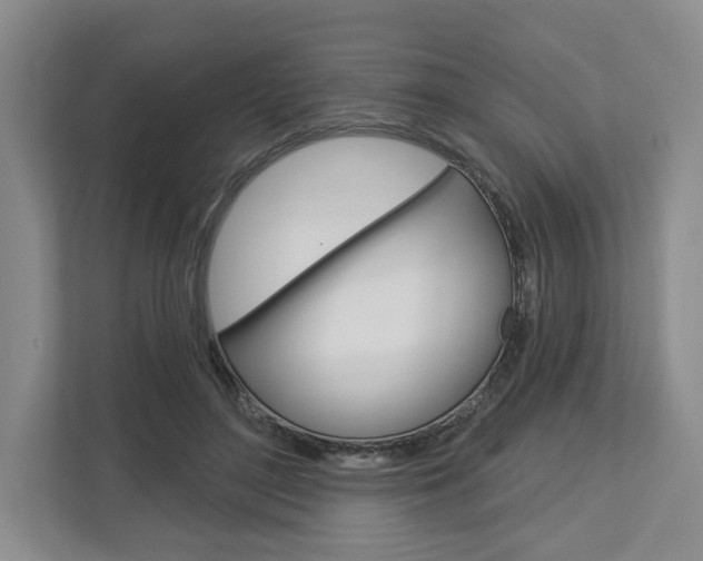 X0000113000500200908270922