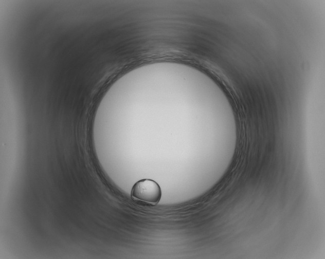 X0000113000501200908270922