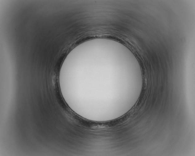 X0000113000503200908270922