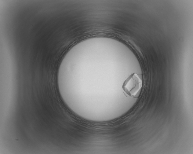 X0000113000505200908270922