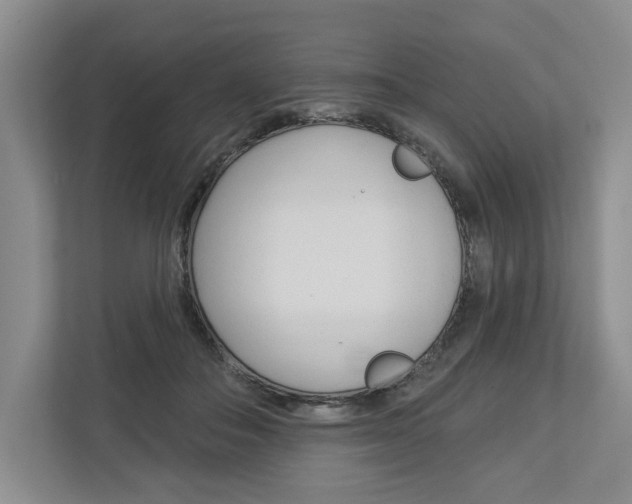 X0000113000506200908270922