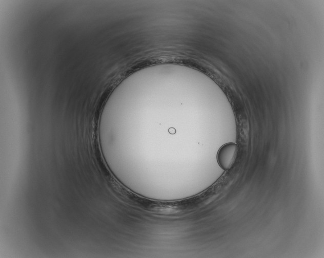 X0000113000507200908270922