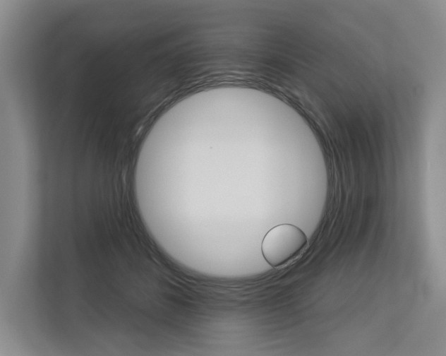 X0000113000508200908270922