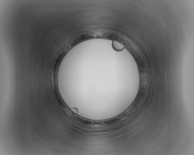 X0000113000510200908270922