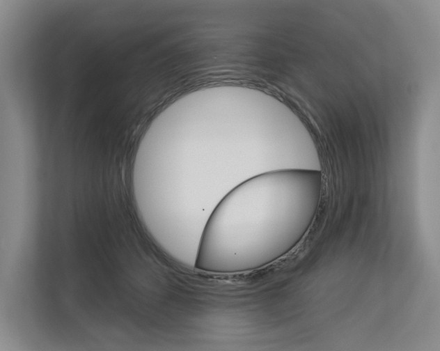 X0000113000512200908270922
