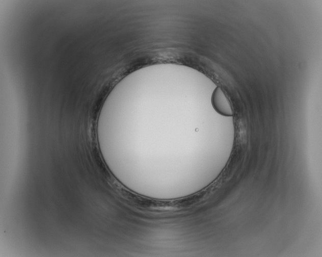 X0000113000514200908270922