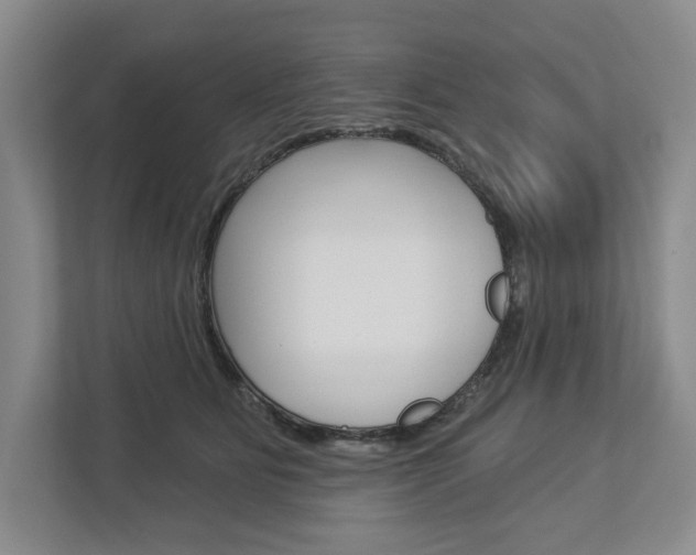 X0000113000515200908270922