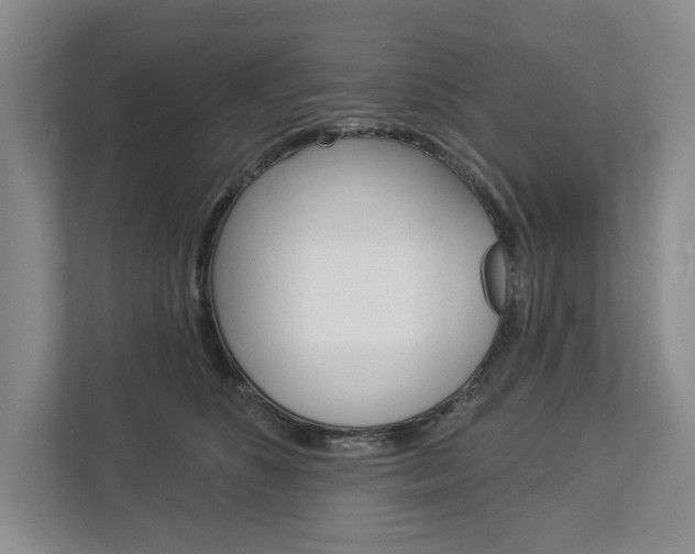X0000113000516200908270922