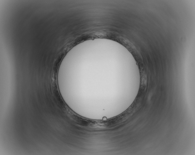 X0000113000518200908270922