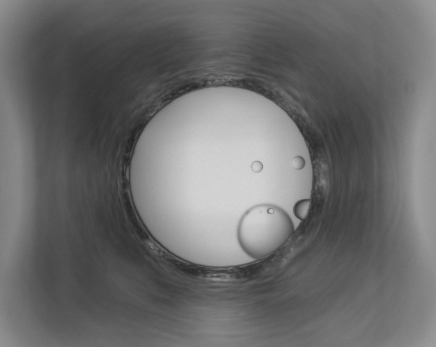 X0000113000519200908270922