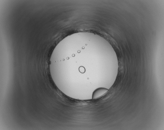 X0000113000523200908270922
