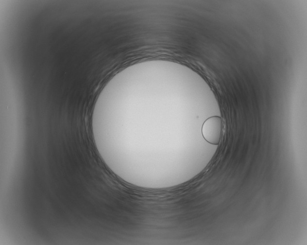 X0000113000524200908270922