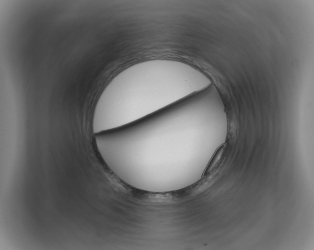 X0000113000525200908270922