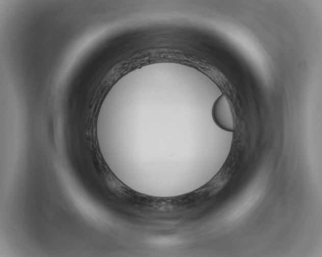 X0000113000526200908270922