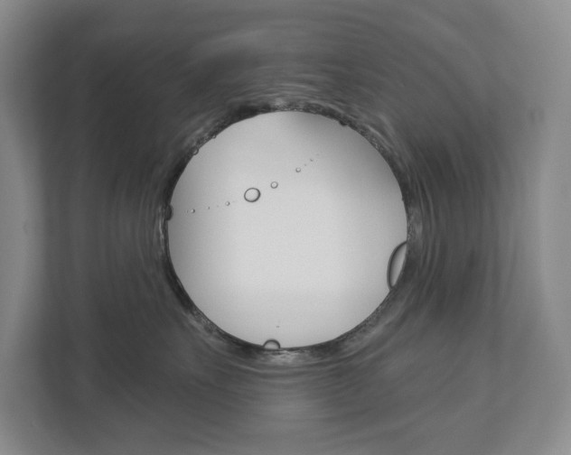 X0000113000527200908270922