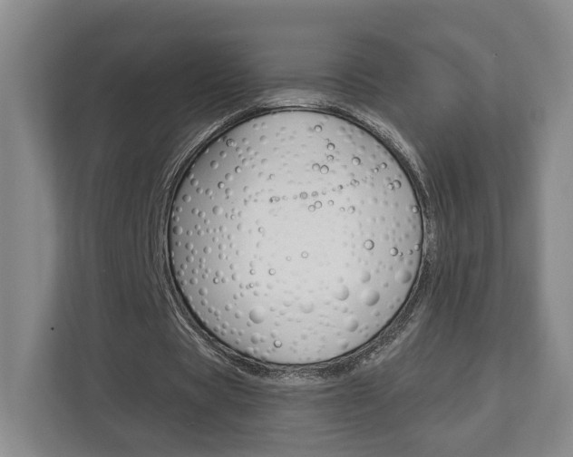 X0000113000529200908270921