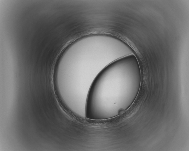 X0000113000530200908270921