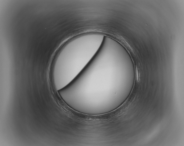 X0000113000531200908270921