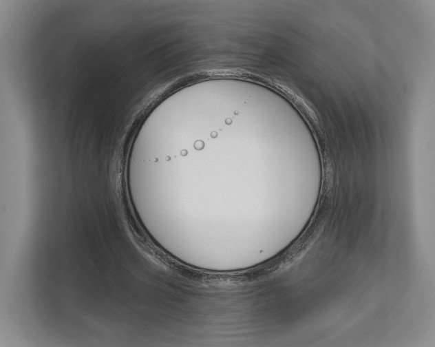X0000113000533200908270921