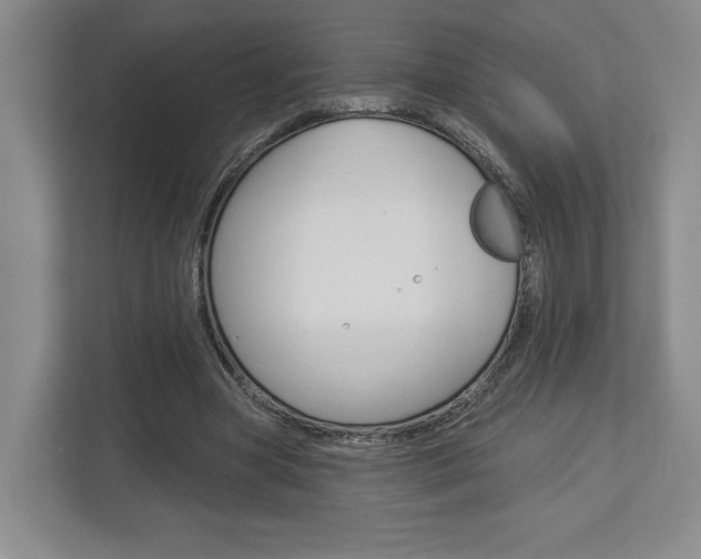 X0000113000537200908270921