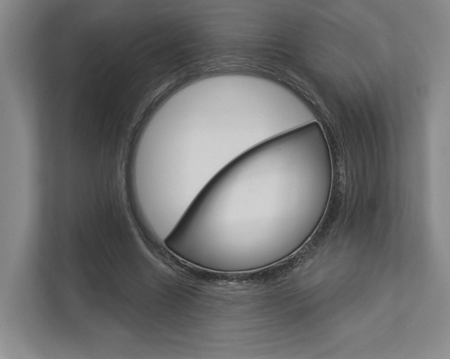 X0000113000538200908270921