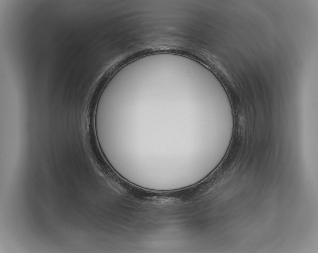 X0000113000539200908270921