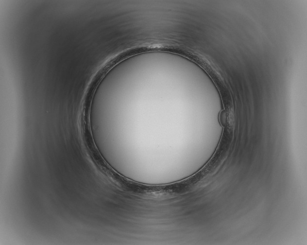 X0000113000540200908270921