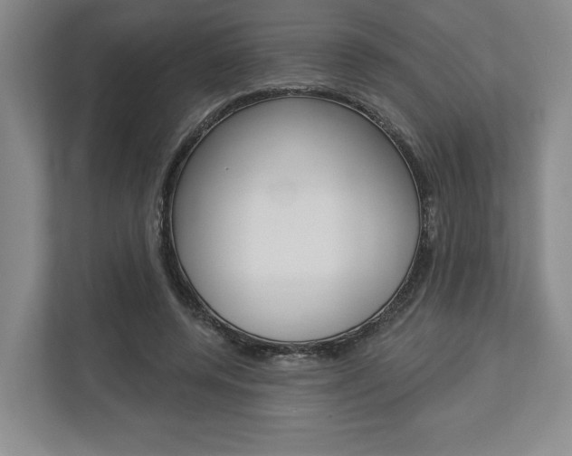 X0000113000544200908270922
