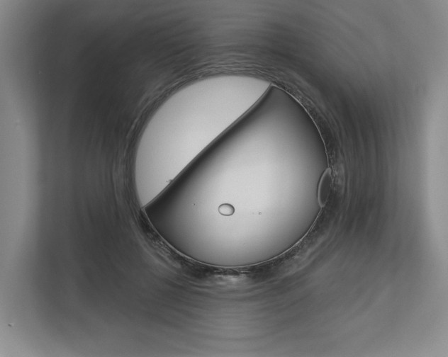 X0000113000552200908270922