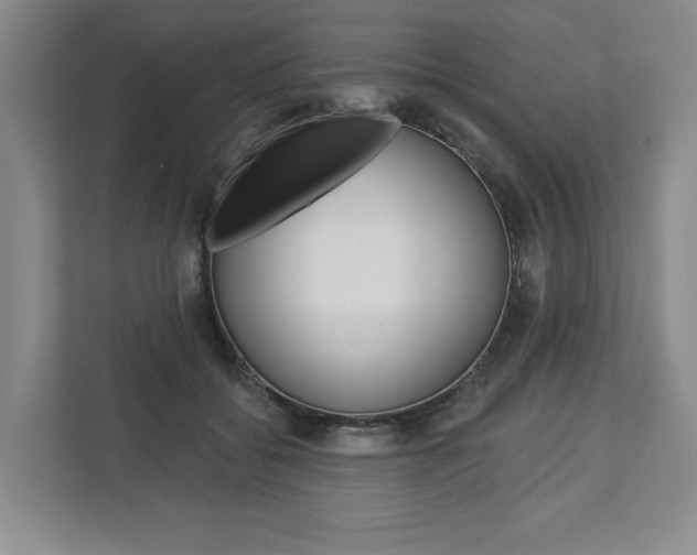 X0000113000556200908270922