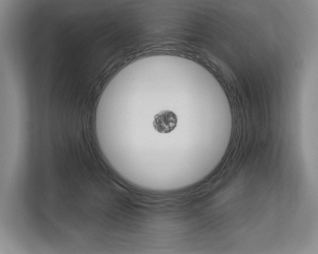 X0000113000558200908270922