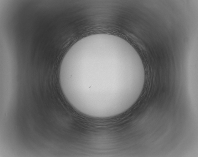 X0000113000560200908270922