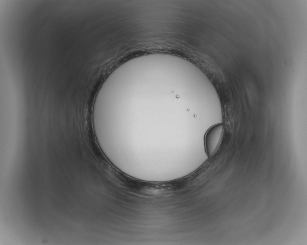 X0000113000563200908270922