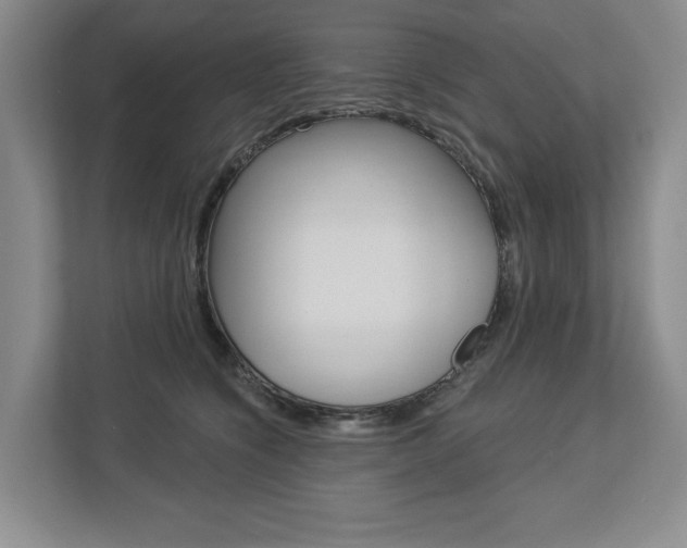 X0000113000564200908270922