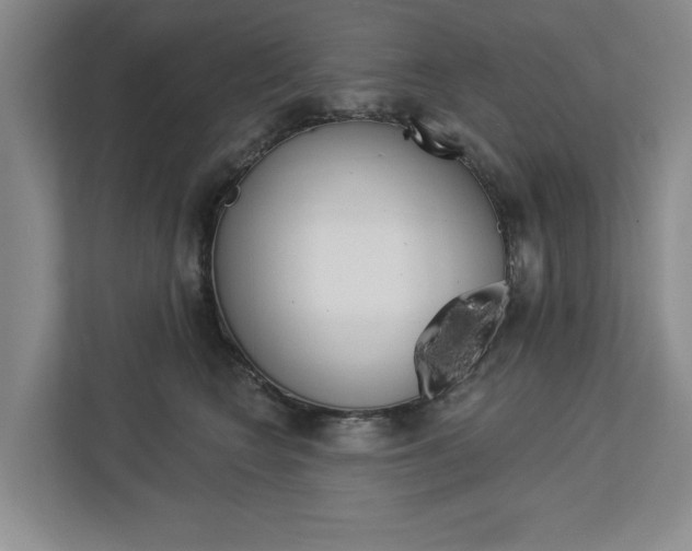 X0000113000566200908270922