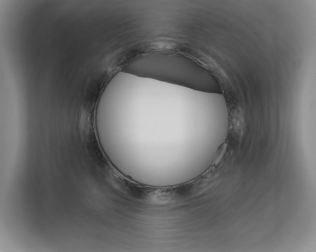 X0000113000568200908270922