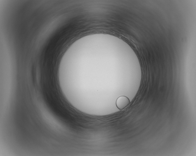 X0000113000572200908270922