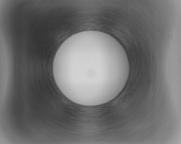 X0000113000576200908270922