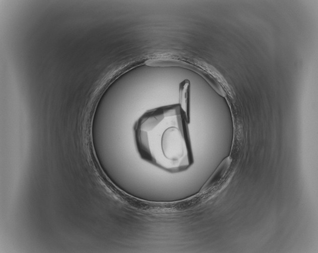 X0000113000577200908270921