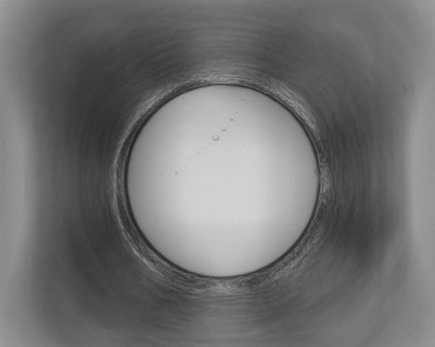 X0000113000578200908270921