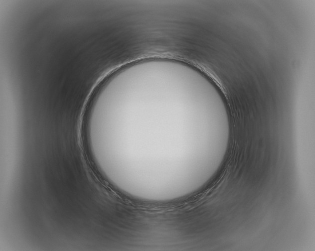 X0000113000579200908270921
