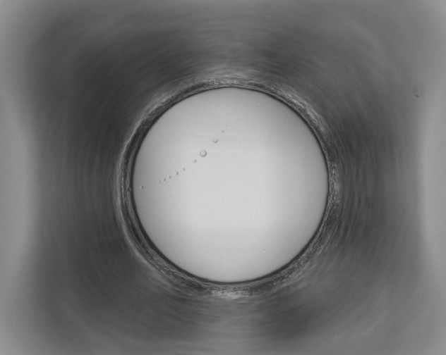 X0000113000582200908270921