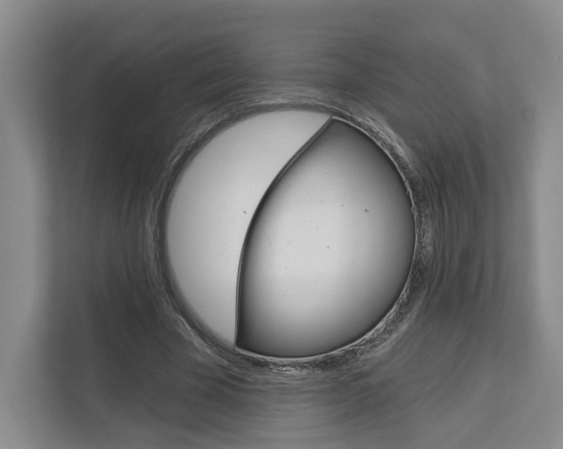 X0000113000585200908270921