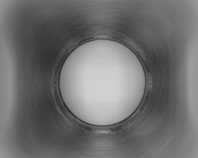 X0000113000586200908270921