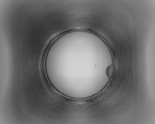 X0000113000587200908270921
