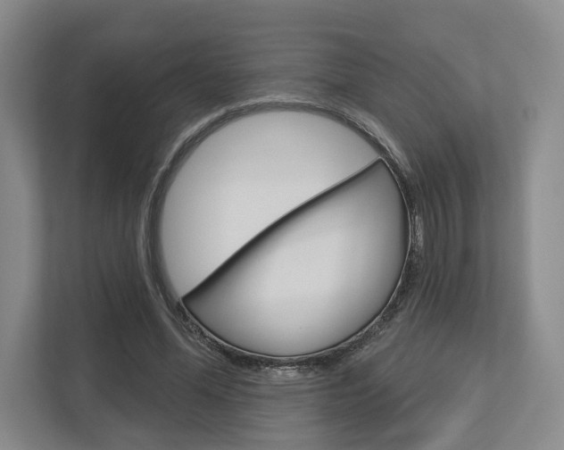X0000113000588200908270921