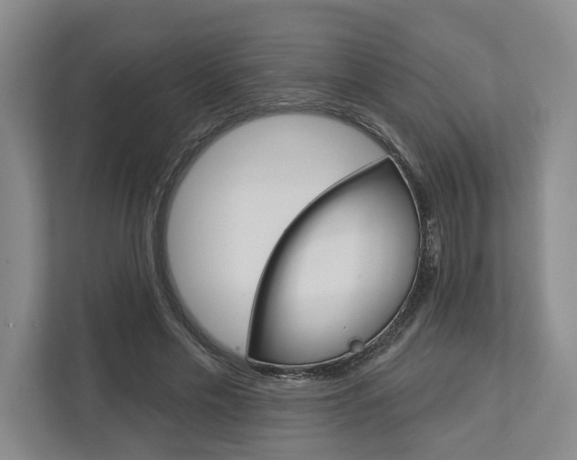 X0000113000589200908270921