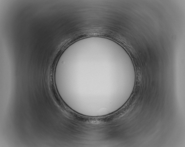 X0000113000590200908270921